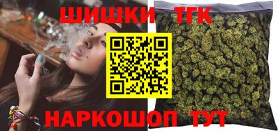 гашик Шелехов