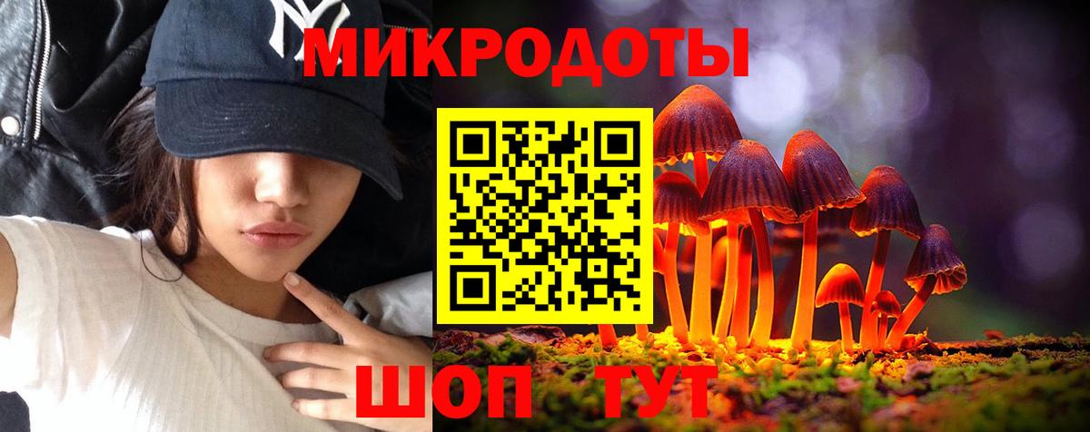 Галлюциногенные грибы Cubensis  Галлюциногенные грибы GOLDEN TEACHER  Вход с VPN  Горно-Алтайск 
